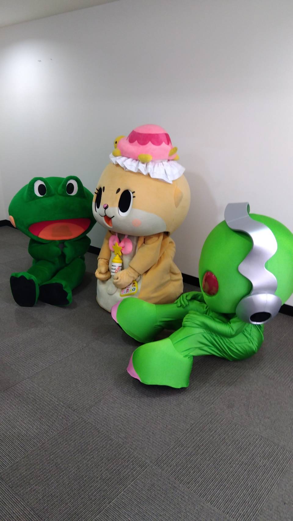 more-cats どんぐりひろたん 公式:ちぃたん☆大阪 on X: