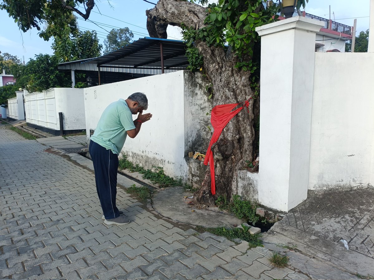 Tweet media two