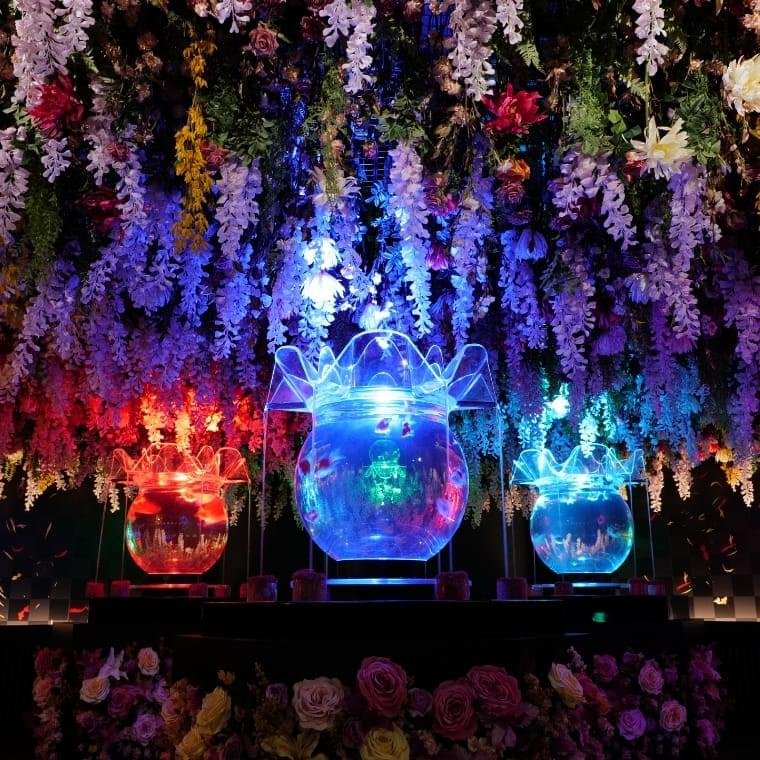 …暑い❗日が落ちて夜21時頃でも30℃以上ある🥵都内はコンクリートジャングル💦アスファルトが熱吸収して、足元も暑い❗脚も日焼けしそう💦

このアクアリウム良いな💜
水槽にダイブして、金魚と戯れたい🤭🐠

#アートアクアリウム美術館GINZA