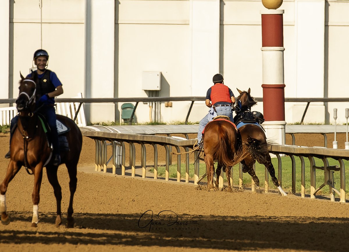 Gwen * Davis Innovation (@innovationdavis) on Twitter photo We can't ever give enough credit to the track outriders (and their horses) for their amazing skill, esp the guys <a href="/ChurchillDowns/">Churchill Downs</a>. Greg Blasi with another quick and safe catch earlier this week. 💪👏 Horse, rider both ok. We can't ever give enough credit to the track outriders (and their horses) for their amazing skill, esp the guys <a href="/ChurchillDowns/">Churchill Downs</a>. Greg Blasi with another quick and safe catch earlier this week. 💪👏 Horse, rider both ok.