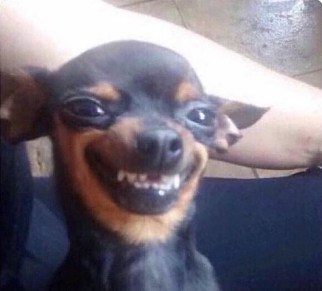 guys i’m on my 5th shot
