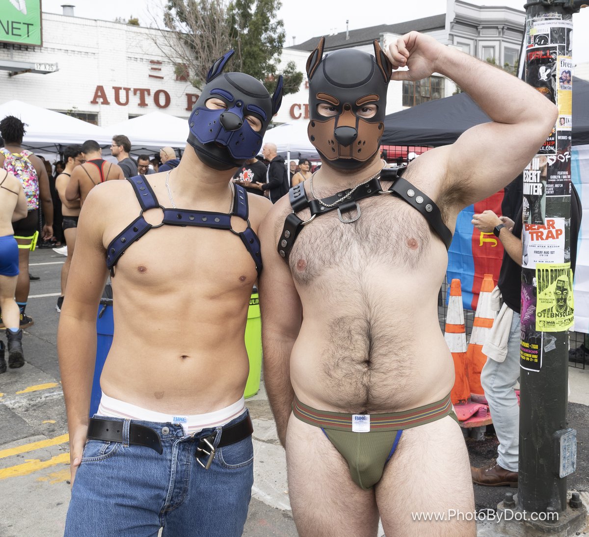 Dot the Photographer tweet media