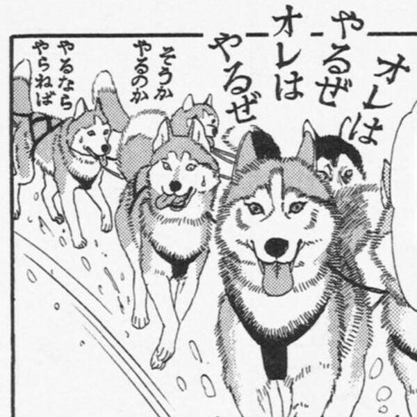 動物のお医者さん見たら横転しそう 