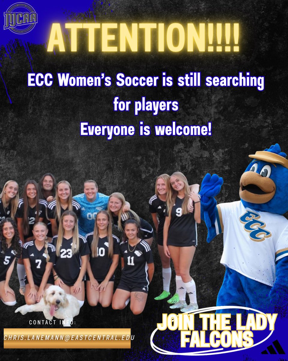 We are looking for a couple more players to add to our team. If interested DM/PM your name and contact info