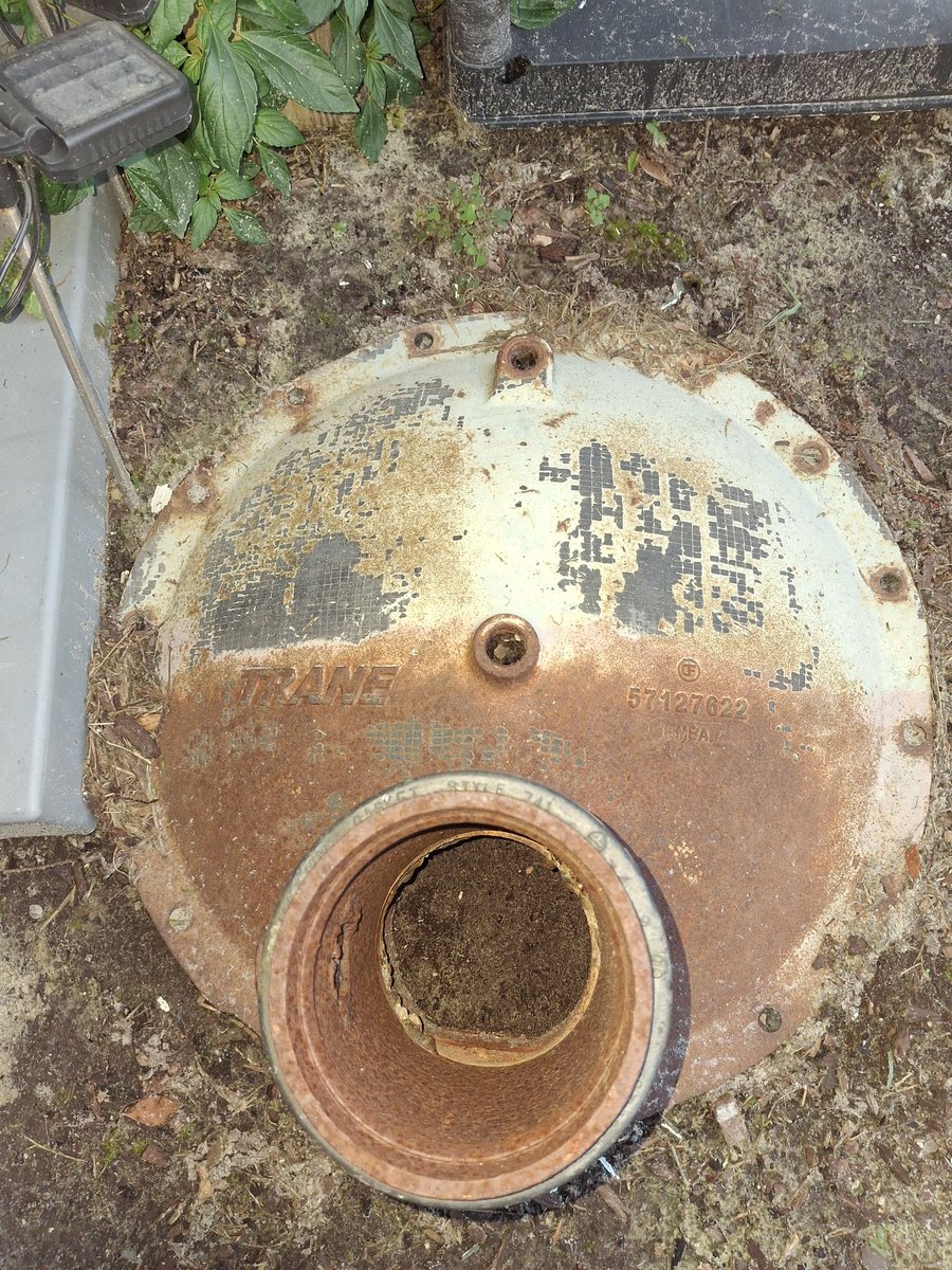 danibecsam tweet media