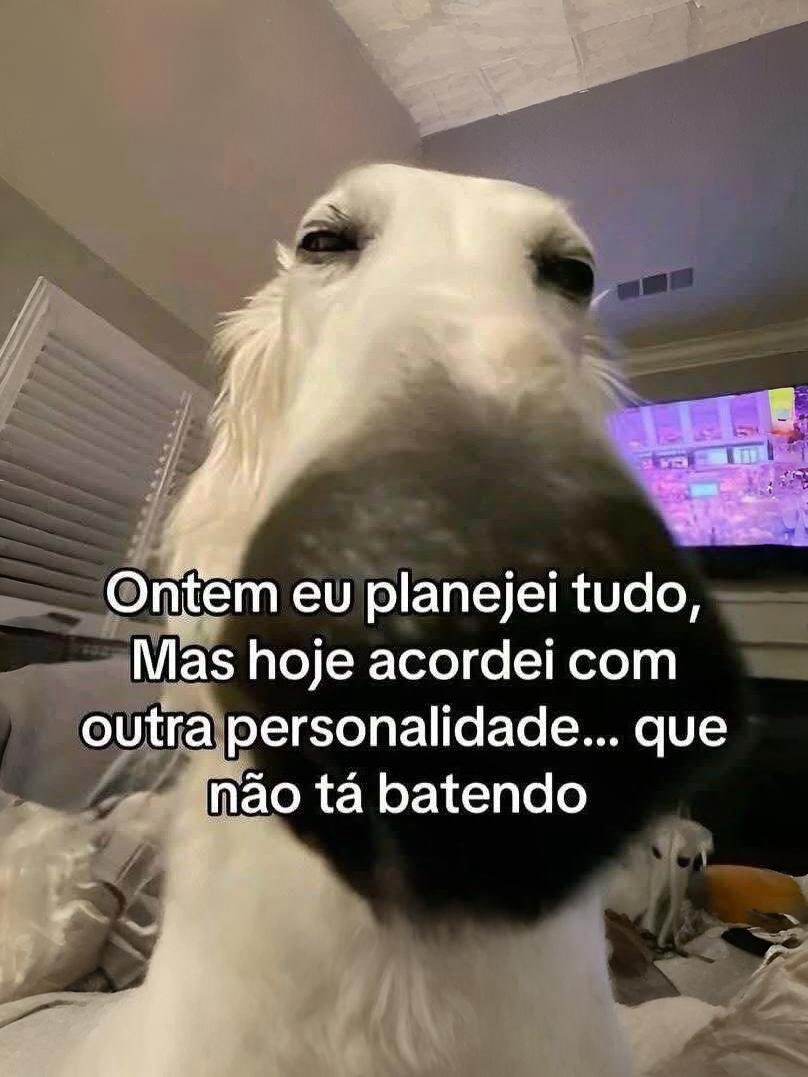 Nazaré Amarga (@nazareamarga) on Twitter photo 