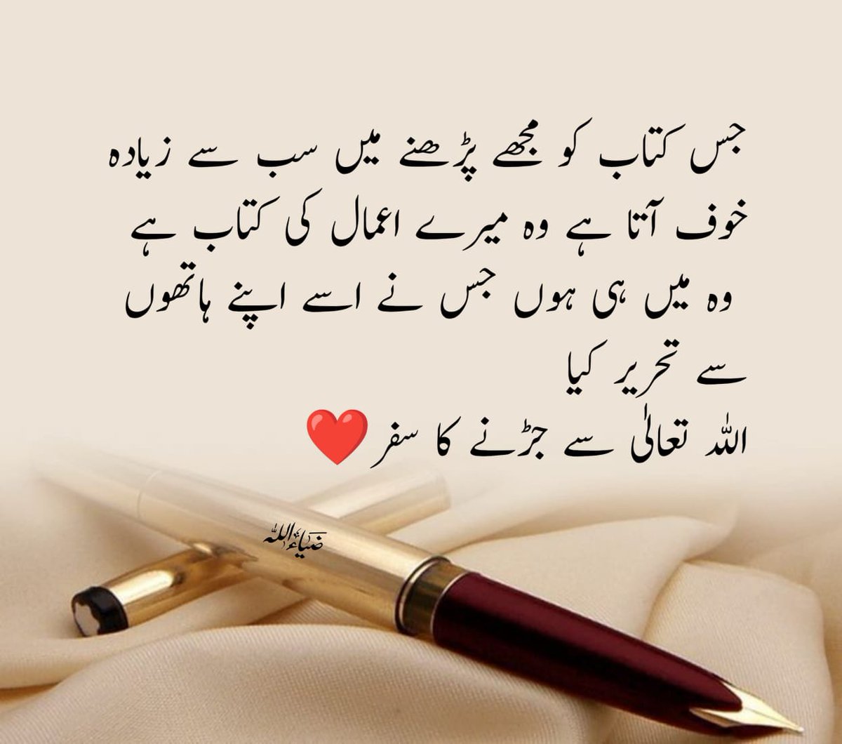 یہ وہ کتاب ہے جو قیامت کے دن میرے رازوں کو کھول دے گی… کیونکہ ہر صفحہ میرے ہی اعمال سے بھرا ہوا ہے۔🥹