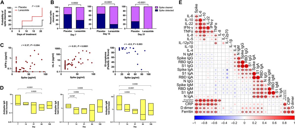 Multisystem inflammatory syndrome (MISC) in children involve inflammation caused by SARS-CoV-2 proteins leaking from the gut into the bloodstream
Larazotide, a zonulin antagonist, promotes rapid recovery <a href="/LaelYonker/">YonkerLab</a> <a href="/ScienceTM/">Science Translational Medicine</a> 
science.org/doi/10.1126/sc…
