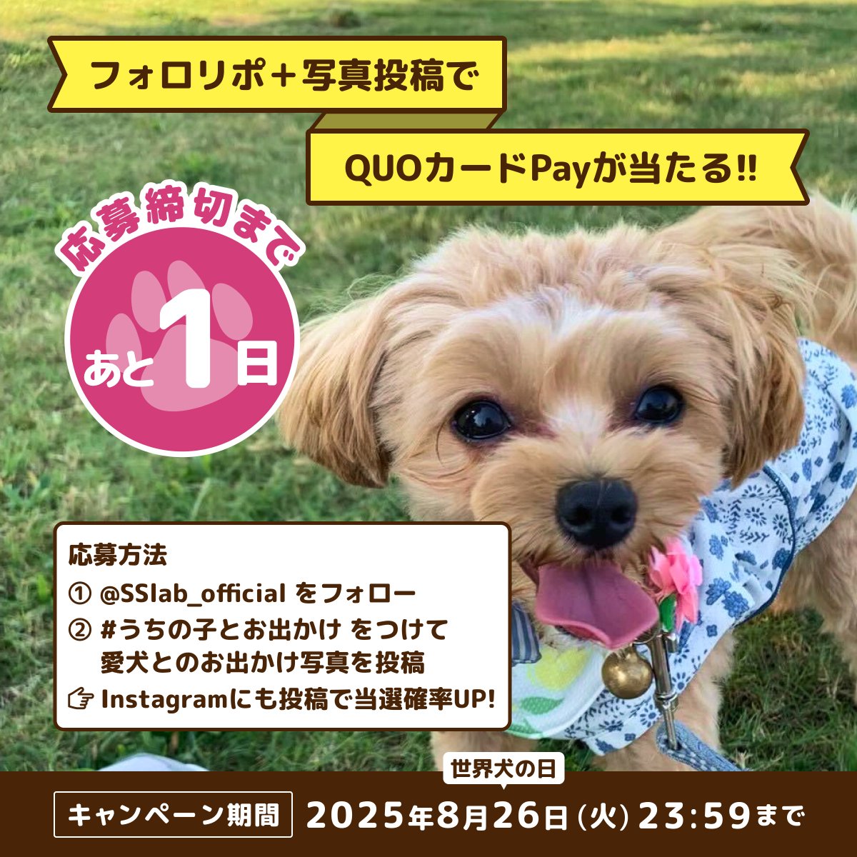 Smart Share Lab - OWNLY | SNSマーケティングの気になる情報発信メディア (@sslab_official) on Twitter photo 🎉\あと1日!/🎉
8月26日は世界犬の日🐶
愛犬とのお出かけ写真を投稿して、
プレゼントをGETしよう🎁✨
📱 応募方法
1️⃣ <a href="/SSlab_official/">Smart Share Lab - OWNLY | SNSマーケティングの気になる情報発信メディア</a> をフォロー
2️⃣ #うちの子とお出かけ をつけて愛犬とのお出かけ写真を投稿!
🗓️ 8月26日(火) 23:59まで
✨ Instagramにも投稿で当選確率UP⤴️ 🎉\あと1日!/🎉
8月26日は世界犬の日🐶
愛犬とのお出かけ写真を投稿して、
プレゼントをGETしよう🎁✨
📱 応募方法
1️⃣ <a href="/SSlab_official/">Smart Share Lab - OWNLY | SNSマーケティングの気になる情報発信メディア</a> をフォロー
2️⃣ #うちの子とお出かけ をつけて愛犬とのお出かけ写真を投稿!
🗓️ 8月26日(火) 23:59まで
✨ Instagramにも投稿で当選確率UP⤴️