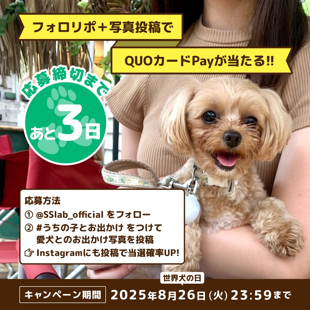 Smart Share Lab - OWNLY | SNSマーケティングの気になる情報発信メディア (@sslab_official) on Twitter photo 🎉\あと3日!/🎉
8月26日は世界犬の日🐶
愛犬とのお出かけ写真を投稿して、
プレゼントをGETしよう🎁✨
📱 応募方法
1️⃣ <a href="/SSlab_official/">Smart Share Lab - OWNLY | SNSマーケティングの気になる情報発信メディア</a> をフォロー
2️⃣ #うちの子とお出かけ をつけて愛犬とのお出かけ写真を投稿!
🗓️ 8月26日(火) 23:59まで
✨ Instagramにも投稿で当選確率UP⤴️ 🎉\あと3日!/🎉
8月26日は世界犬の日🐶
愛犬とのお出かけ写真を投稿して、
プレゼントをGETしよう🎁✨
📱 応募方法
1️⃣ <a href="/SSlab_official/">Smart Share Lab - OWNLY | SNSマーケティングの気になる情報発信メディア</a> をフォロー
2️⃣ #うちの子とお出かけ をつけて愛犬とのお出かけ写真を投稿!
🗓️ 8月26日(火) 23:59まで
✨ Instagramにも投稿で当選確率UP⤴️