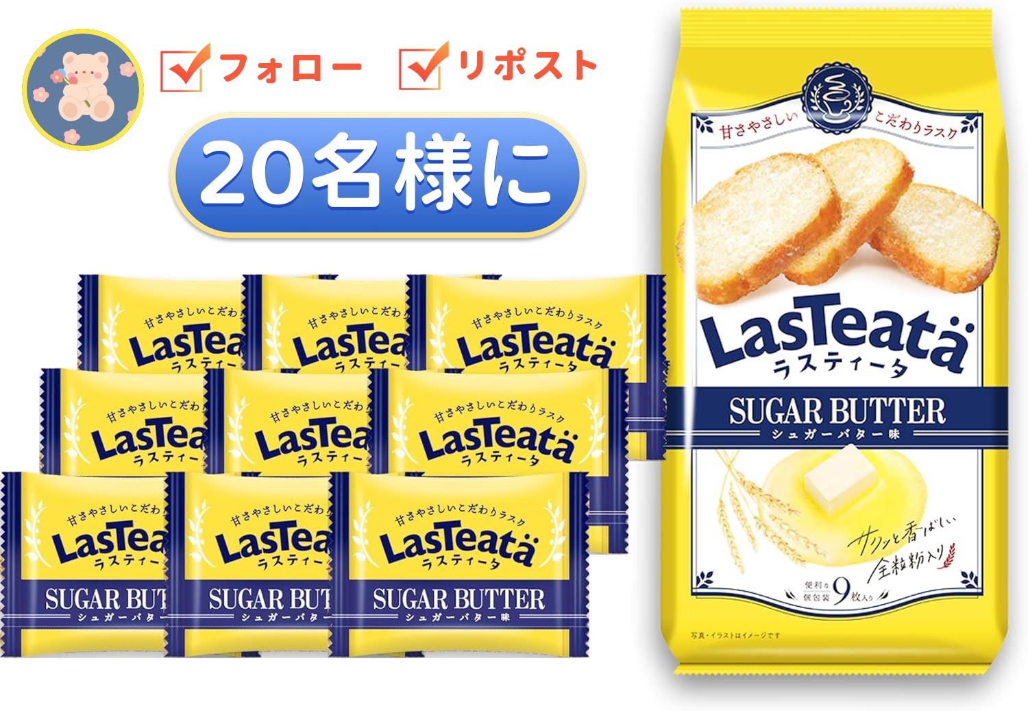 週末限定半額セール 貝類標本 ニッポンダカラ 28000円→14000円