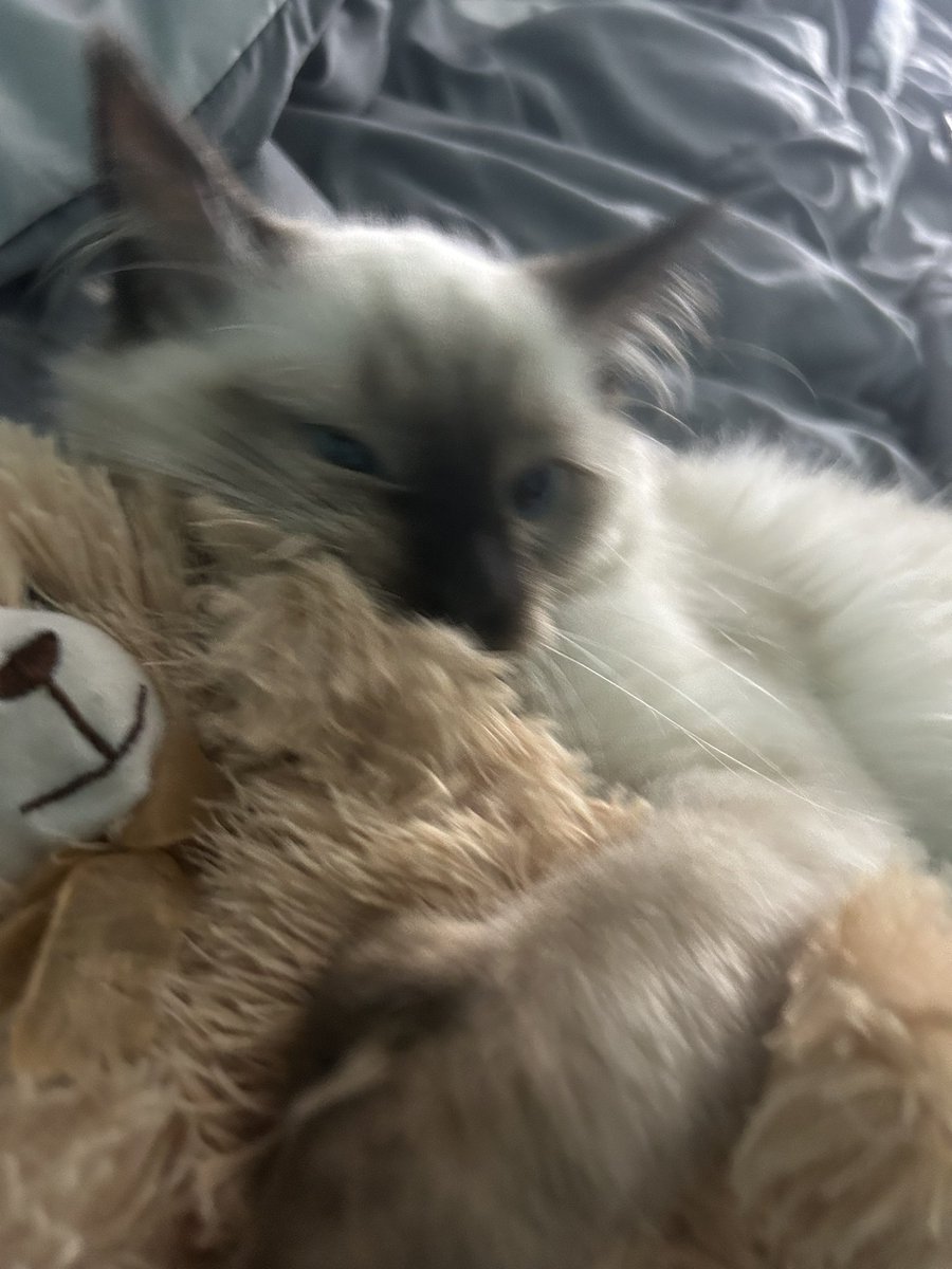 _LuvrMai's tweet image. New #moothunt #mootstwt
——˙⋆✮ #promotwt ✮⋆˙ ——
                  mai , 22 ⋆
        valorant, fortnite, bg3
      Repo, overwatch, apex
       ——˙⋆she/her˙⋆——
                    ♡ &amp;amp; ↻
♡︎/⟳ for moots + i follow back :3 #valotwt  #moothunt #promotwt #owtwt #anitwt