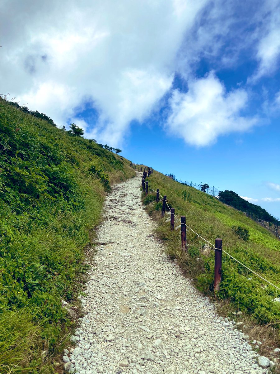 伊吹山頂上まで頑張って歩くぜ！