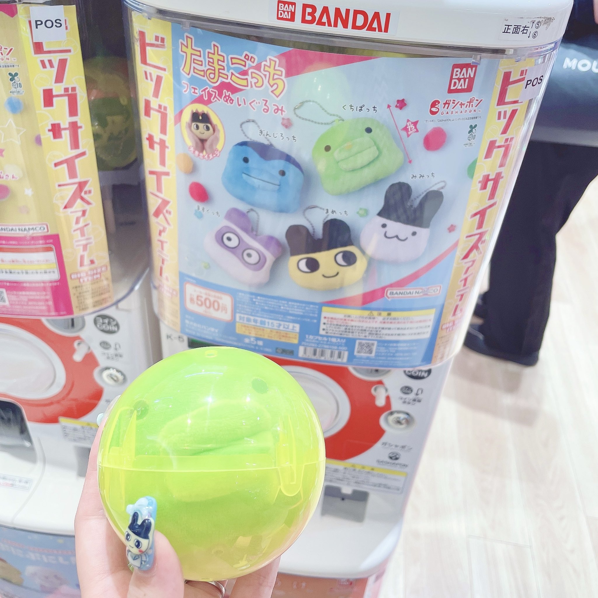 やっちゃん様 横山ルリカです🪞 きょうの #得するウォッチング は学園祭を取材