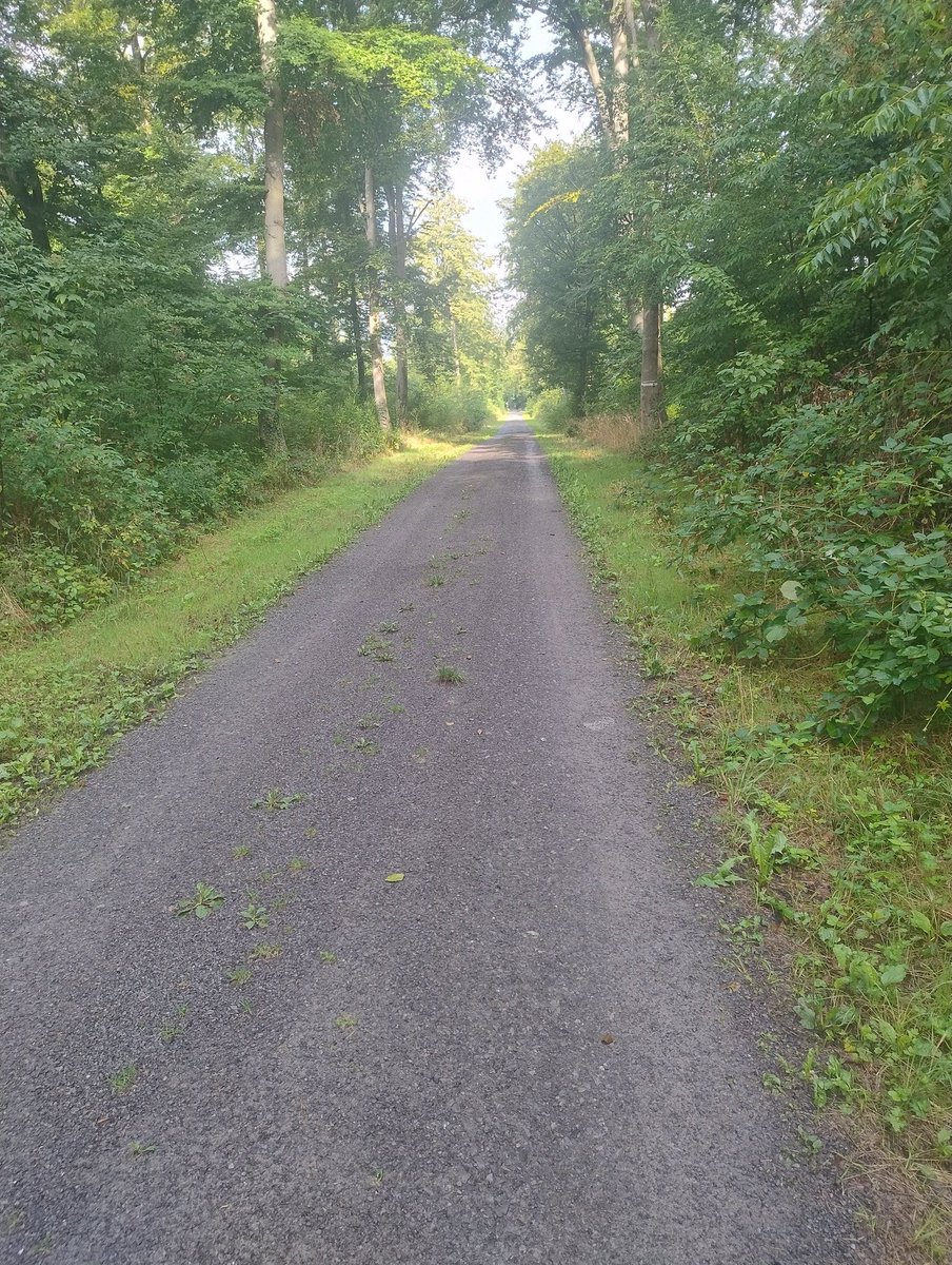 krschy2's tweet photo. Bin zwar schon seit Stunden wach, aber wollte euch doch nochmal meinen Schulweg bei Sonnenschein zeigen ☀️.
Muss dort noch ein bisschen aufräumen.
Guten Morgen!
#Ferienbeginn https://t.co/rd0E0qt7HX