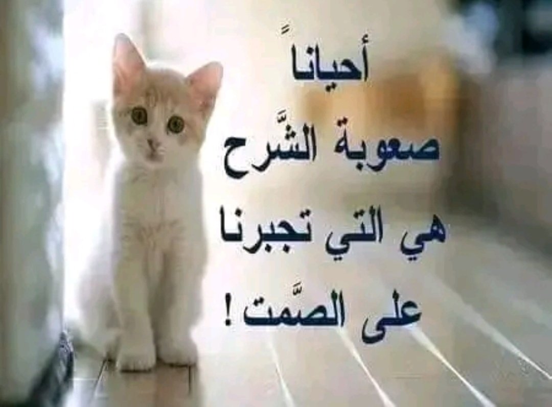 guendouz Adel (@adel2adel86) on Twitter photo 