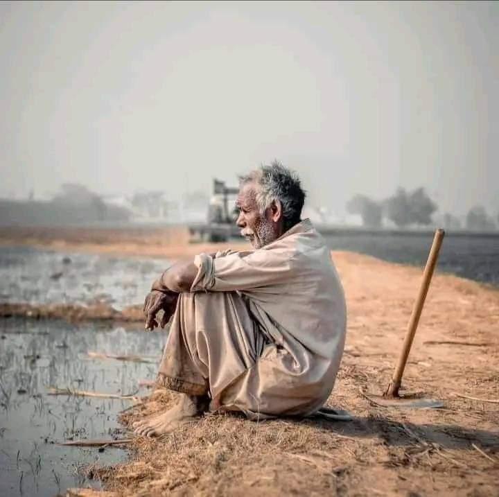 जब बाप धूप में जलता है 
तब घर में चूल्हा जलता है!!