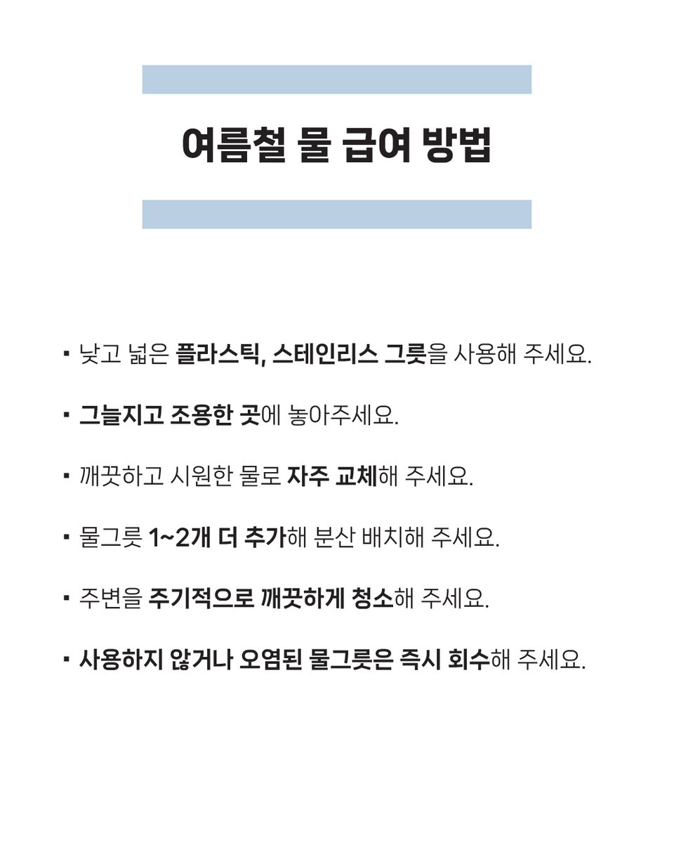 🚨폭염 속 탈진한 고양이를 발견한다면? 탈진 고양이 발견 시 행동 가이드  
▶catcare.or.kr/crdNEWs/5856436