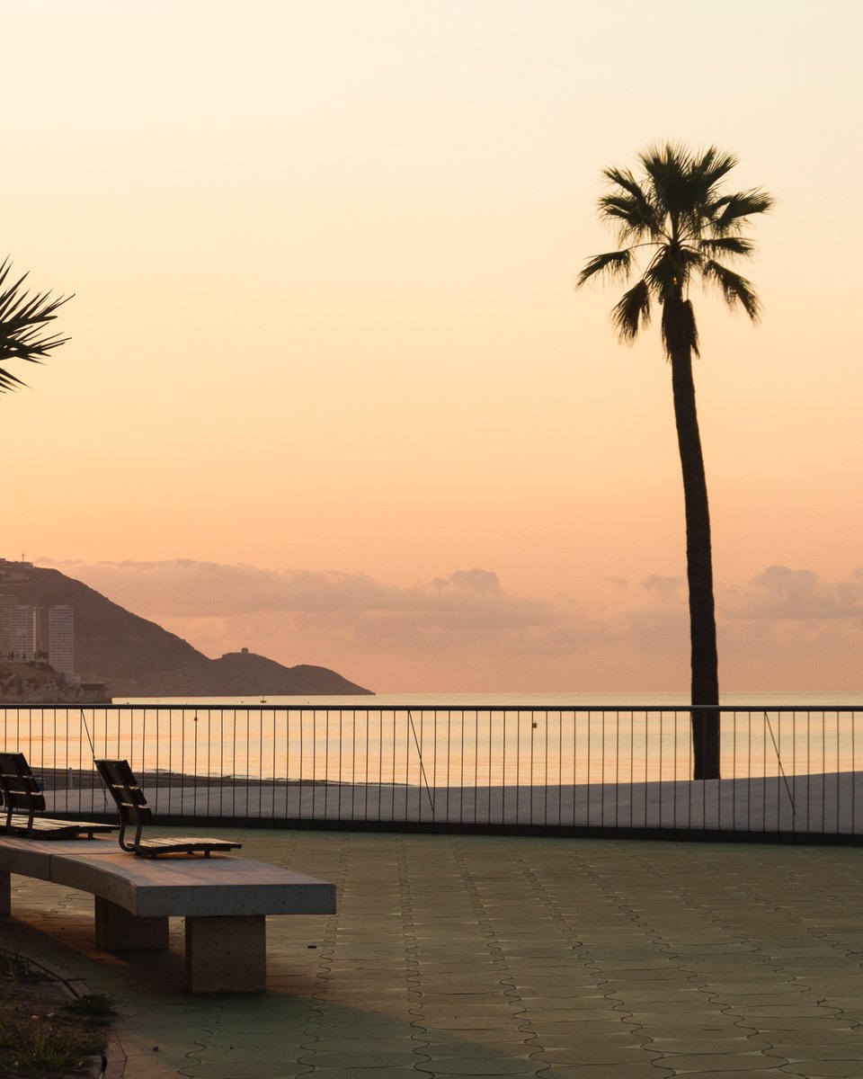 ☀️ Los diferentes tonos de Benidorm al amanecer.
Desde suaves pasteles hasta cielos encendidos, cada mañana aquí es única.

📸 ¿Has vivido un amanecer así en Benidorm?
Compártelo con nosotros usando #AmanecerEnBenidorm y muestra tu mirada al mundo.

☀️ Different shades of