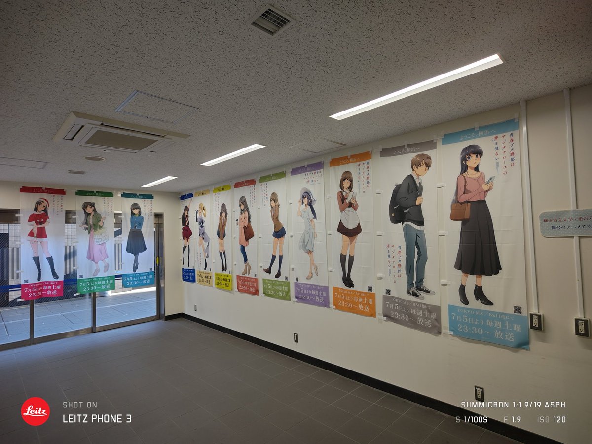 青春ブタ野郎の聖地に住んでます