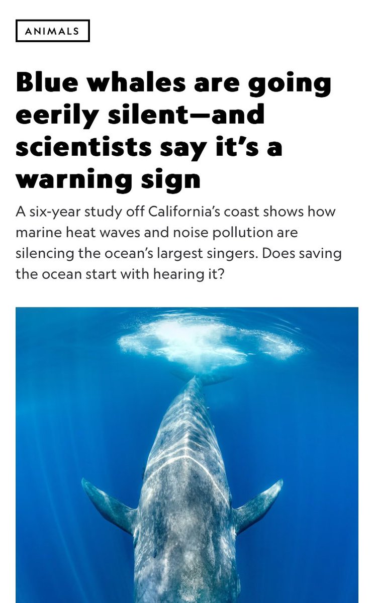 Absolutely heartbreaking &amp; a portent of the empty, dead, silent world fossil-fueled capitalism is marching us toward.