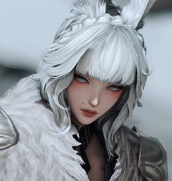 griffy. 🐰🏳️⚧️ (@kaigriffy) on Twitter photo KAI HAS OFFICIALLY MADE IT HOME TO ISHGARD! 💕❄️
And in his furs, no doubt. He's looking for an apartment now! KAI HAS OFFICIALLY MADE IT HOME TO ISHGARD! 💕❄️
And in his furs, no doubt. He's looking for an apartment now!