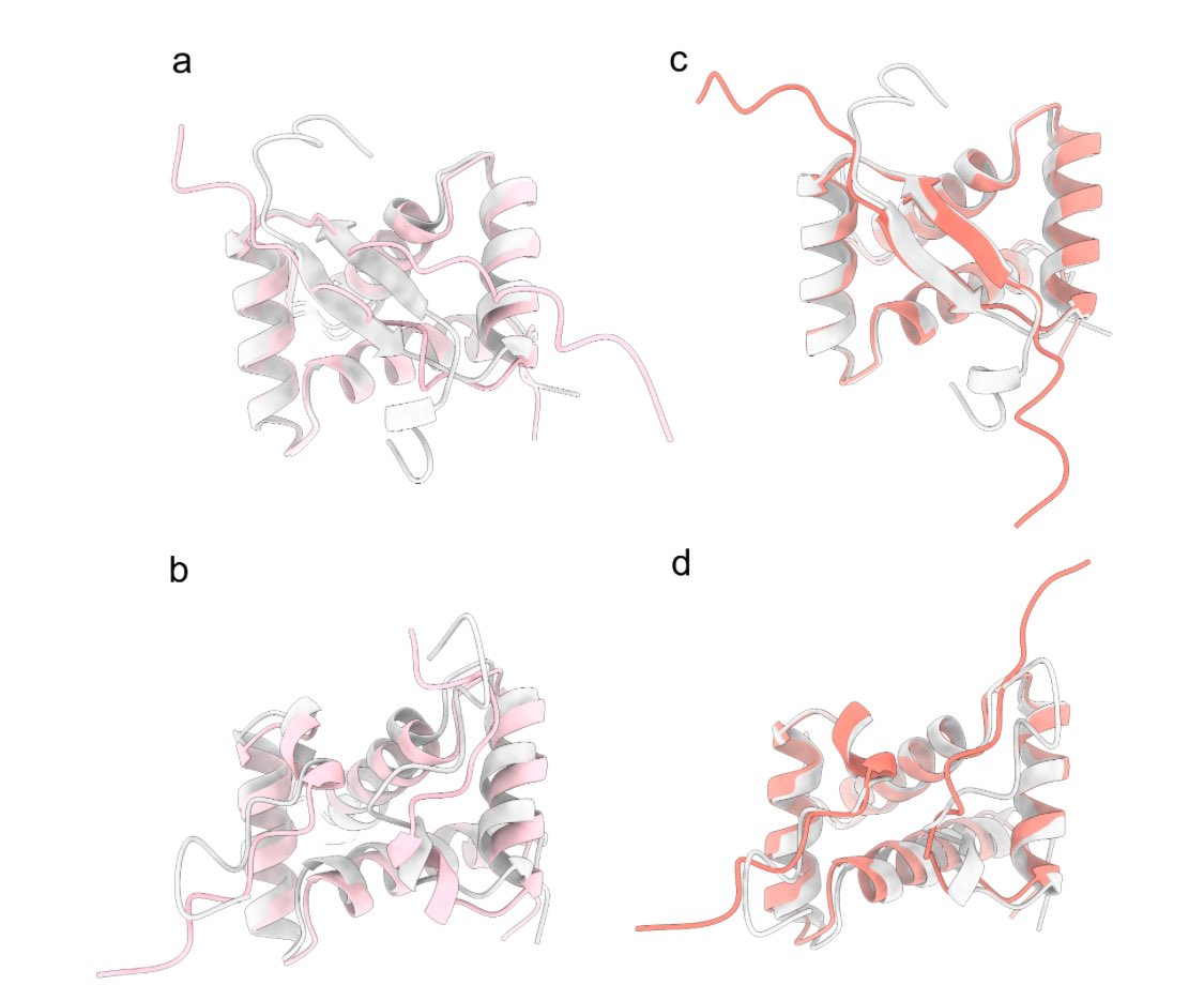 DynamicMPNN
SE(3)等変性を保持したGeometric Vector Perceptionを採用した、タンパク質のmulti-stateを同時に満たす配列設計手法の提案

Multi-state Protein Design with DynamicMPNN
arxiv.org/abs/2507.21938
実装
github.com/Alex-Abrudan/D…