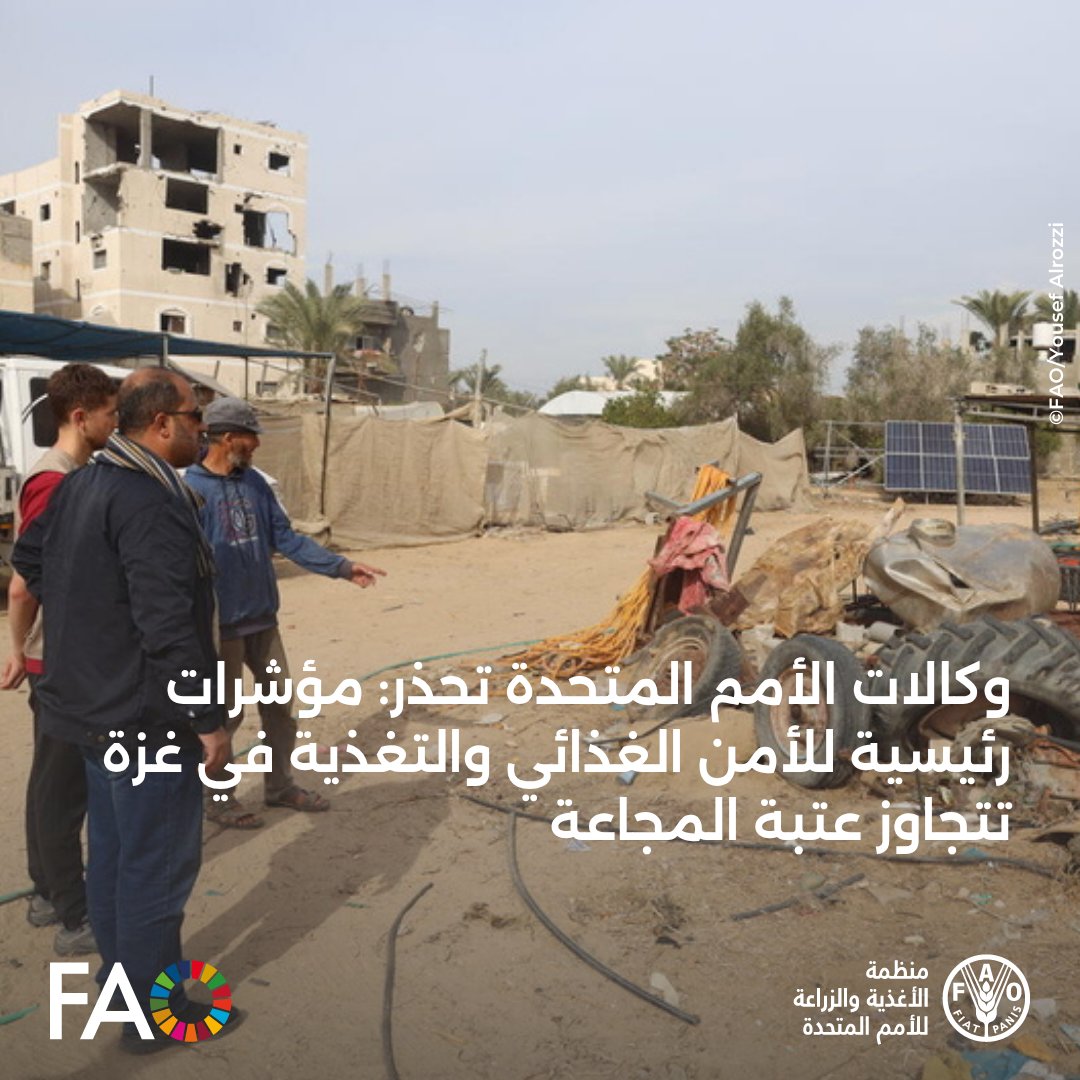 يواجه قطاع #غزة خطر المجاعة، حيث وصلت مؤشرات استهلاك الغذاء والتغذية إلى أسوأ مستوياتها منذ بدء الصراع، وفقًا لتحذير <a href="/theIPCinfo/">The Integrated Food Security Phase Classification</a> 

وتدعو<a href="/FAO/">Food and Agriculture Organization</a> و<a href="/UNICEFinArabic/">منظمة اليونيسف</a> و<a href="/WFP_Arabic/">برنامج الأغذية العالمي التابع للأمم المتحدة</a> إلى وقف فوري ودائم لإطلاق النار، وإتاحة وصول المساعدات الإنسانية دون عوائق.

للمزيد🔗
fao.org/newsroom/detai…