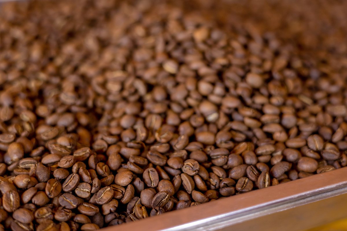 You're more than halfway through the week. Before you dive into the rest of your to-do list, take a moment for yourself

Pause, reset, and find your focus again with the smooth, rich taste of a perfectly brewed cup of our coffee. Let it be your mid-week anchor. You've got this.