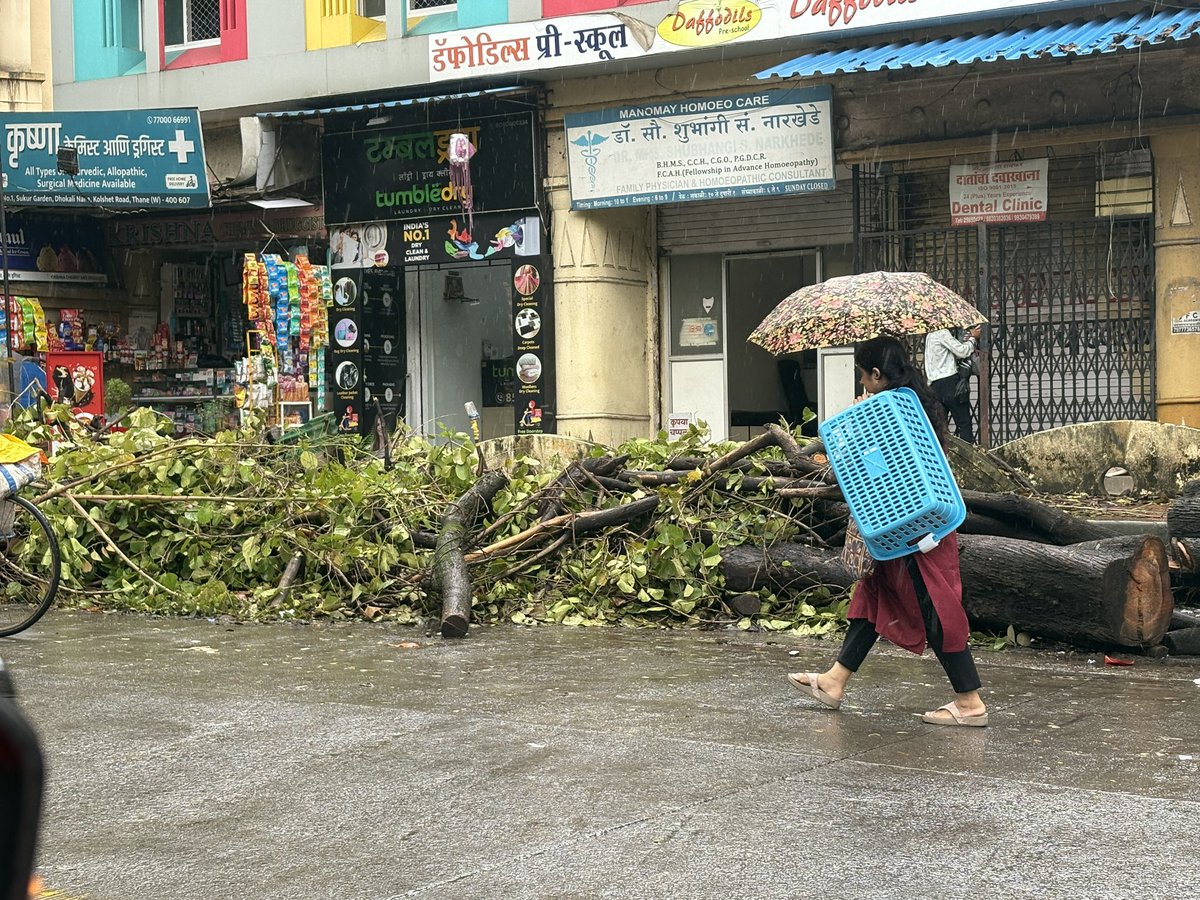 Chets_G's tweet photo. @TMCaTweetAway on Dhokali Manoroma Nagar Road, Kolshet from last one week cut branches are still on the road.. already there is parking issue and now this. https://t.co/BJ2R4cieuF