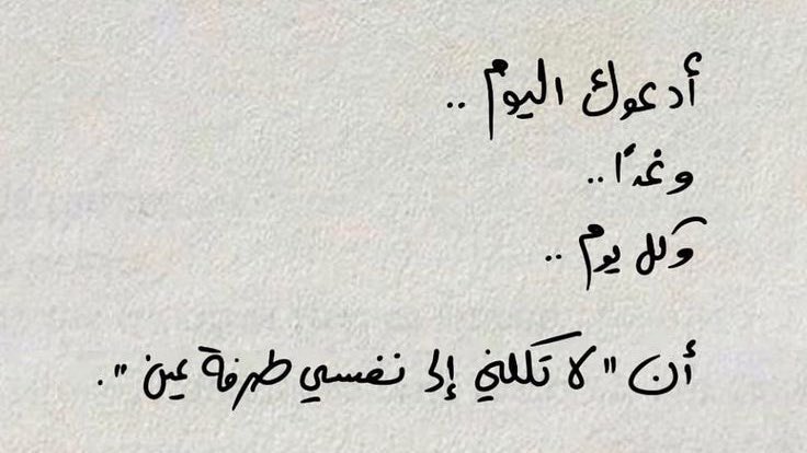 تميم tweet media