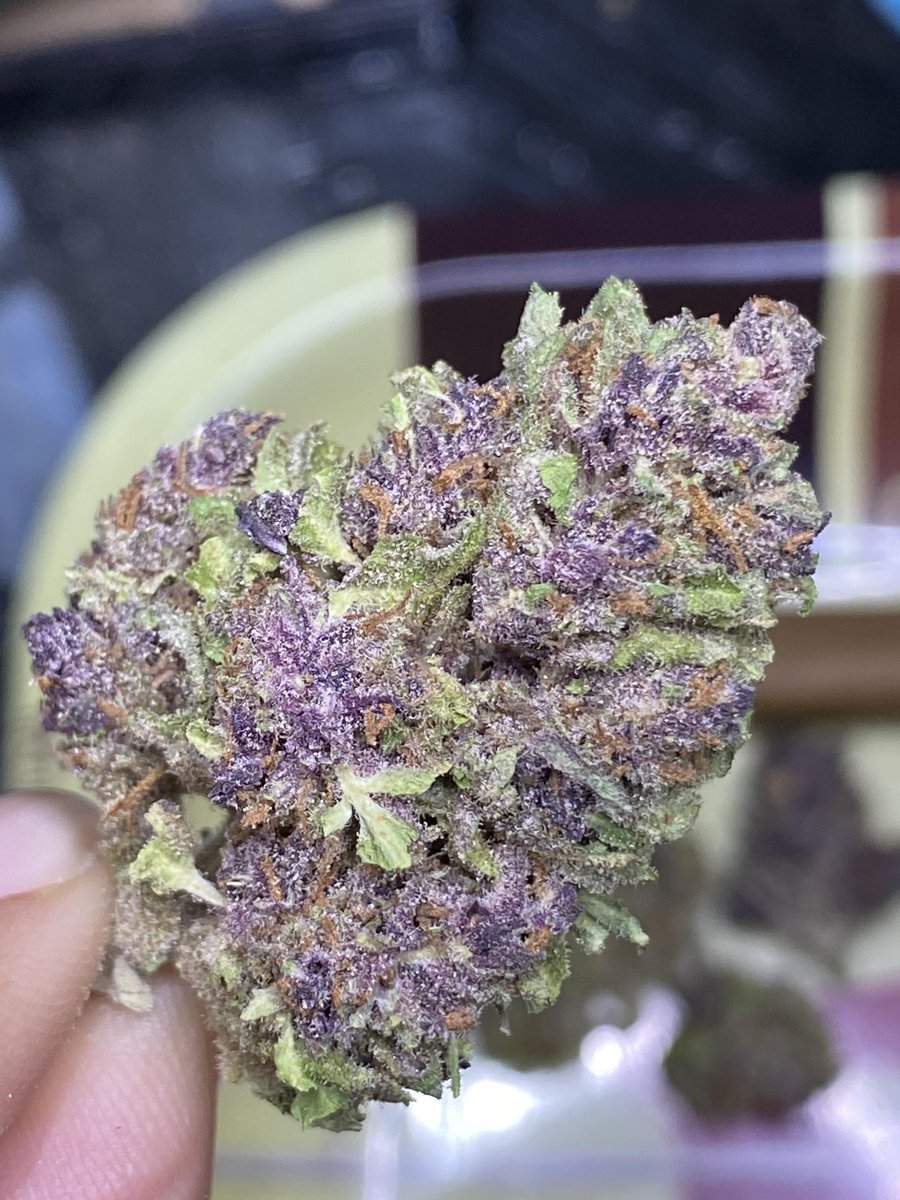 Hey Stoners!! Check this out 
It's beautiful right? Grab a pound for just $600. Send a Direct Message to order