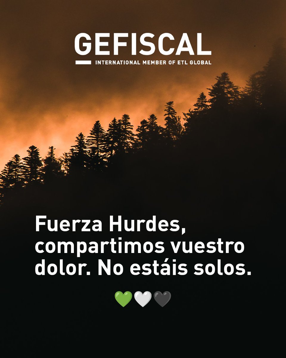 Desde GEFISCAL queremos mandar toda nuestra fuerza y apoyo a las personas afectadas por los incendios, especialmente a los vecinos y vecinas de Las Hurdes.

Donde tenemos amigos, compañeros de equipo y una amplia red de clientes. Nuestros pensamientos están con vosotros. 💚🤍🖤