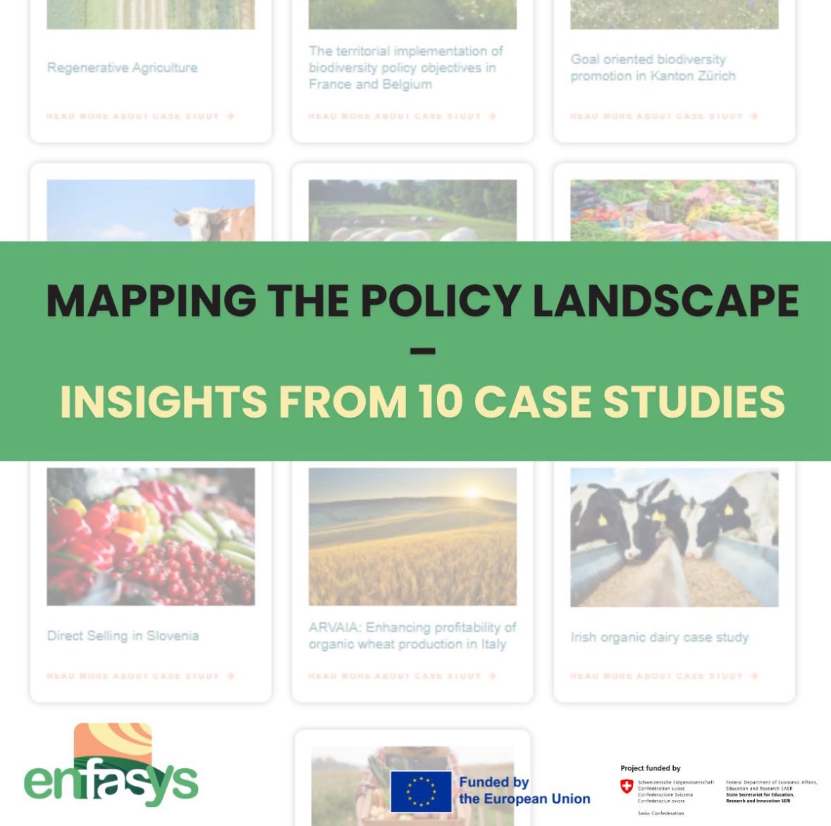 📈 Frontrunners: Greece, France, Germany, Italy 
🟡 High capacity but low willingness: Belgium 
🔻 Gaps in both: Slovenia, Serbia 

Tailored strategies are essential—there’s no one-size-fits-all solution. 

#ENFASYS #EUAgriPolicy #CaseStudyInsights #TransformationBarriers