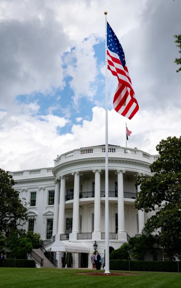 Decentra Suze tweet media