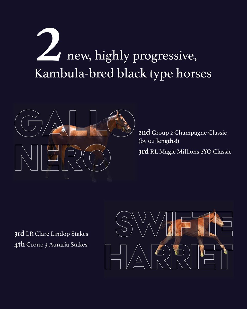 2024/25 season wrap, it's been a great one! 🎉

Of our 31 winning graduates this season, we're super proud to have bred 21 of those, including the exciting stakes horses Gallo Nero and Swiftie Harriet. 

Congrats to all who celebrated wins with a Kambula graduate this season! 🙌🏼