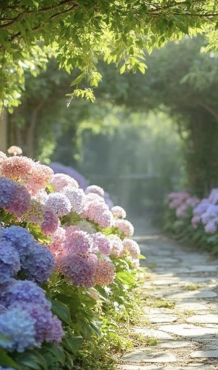 Merci encore à tous pour vos très jolis message pour mon anniversaire hier. Je vous souhaite une bonne journée 🌺💐