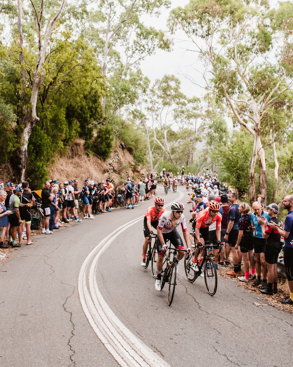 Santos Tour Down Under 🚴🚴‍♀️ tweet media