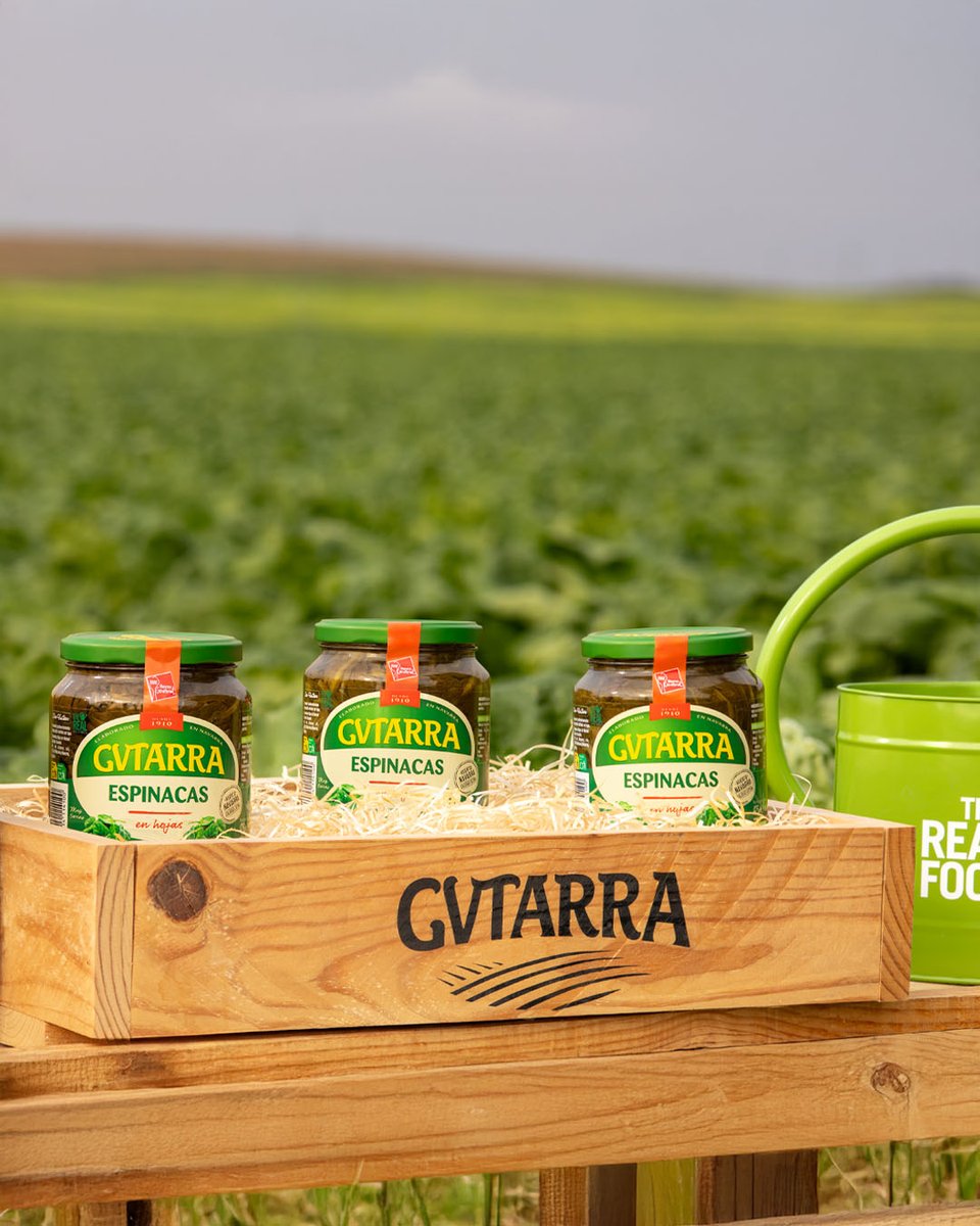 Nuestras espinacas crecen así: en la tierra, al aire libre, como se ha hecho siempre 🌿

Las recogemos en su mejor momento para que conserven todo su sabor y sus nutrientes 💪

¡Y listas para disfrutar en segundos! 😉

#Gvtarra #Espinacas #Campo #Tierra #Origen #Verduras