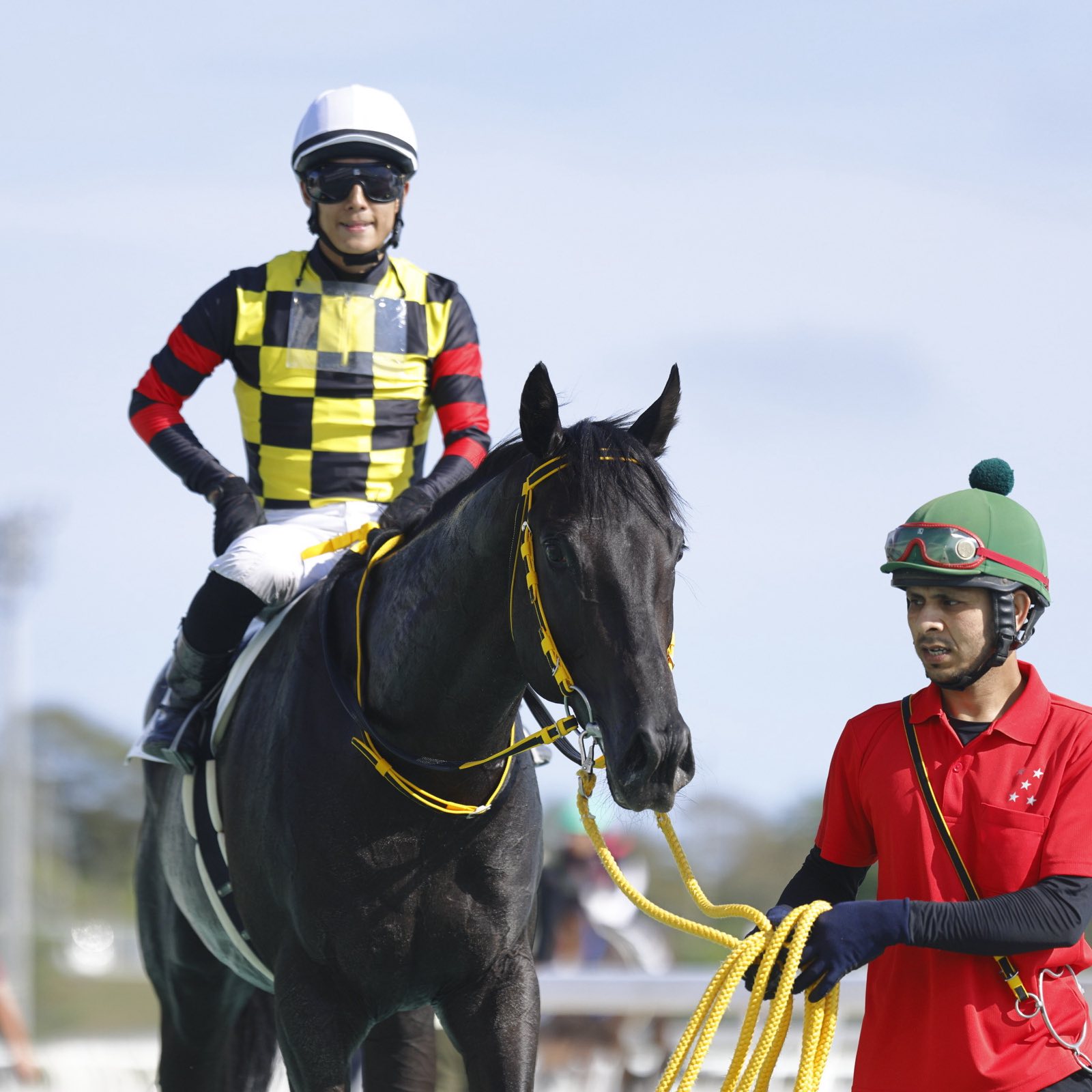 楽天競馬🐎｜楽天ポイント貯まる・使える！ on X: 