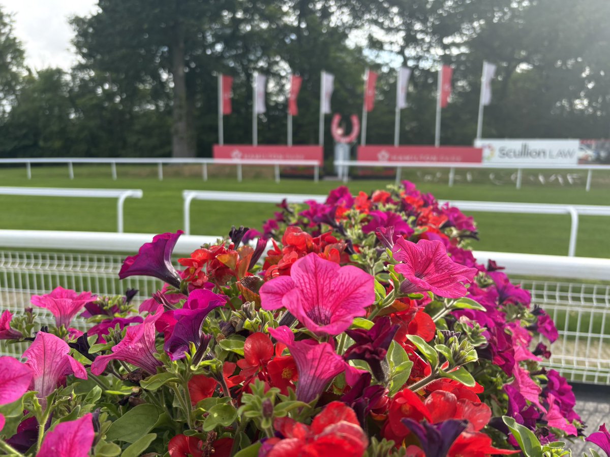 Carol Bartley (@clerkhamilton1) on Twitter photo DECLARATIONS today for Racing Saturday 2 August <a href="/HamiltonParkRC/">Hamilton Park</a> for The Cube Glass Ladies Night. Going : Good. G.S. 7.5. Weather: forecast dry with a mixture of overcast and partly sunny over the next couple of days highs of 20c. DECLARATIONS today for Racing Saturday 2 August <a href="/HamiltonParkRC/">Hamilton Park</a> for The Cube Glass Ladies Night. Going : Good. G.S. 7.5. Weather: forecast dry with a mixture of overcast and partly sunny over the next couple of days highs of 20c.