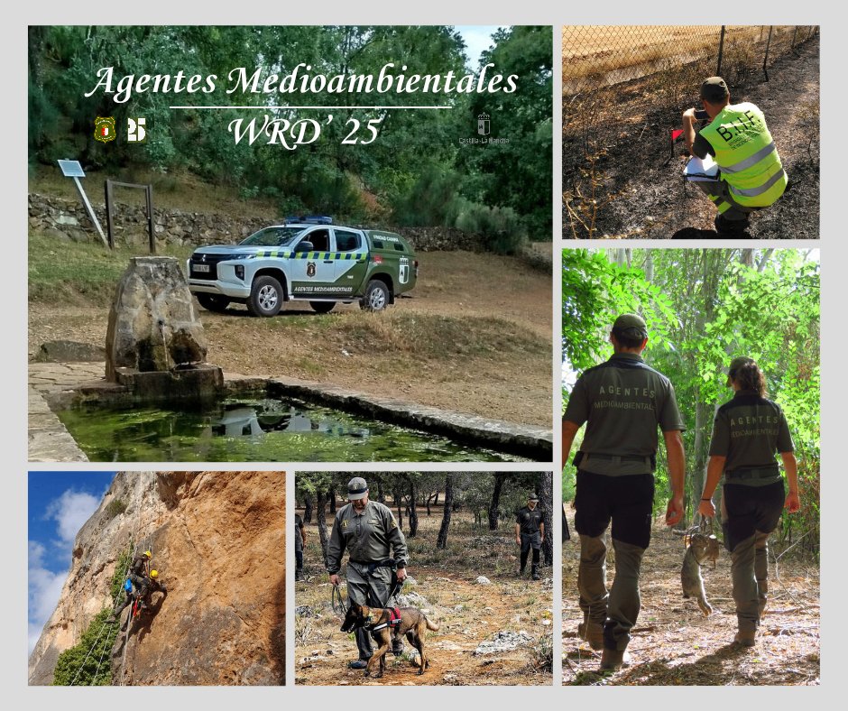 ➡️ Hoy, 31 de julio, celebramos el #WorldRangerDay2025 

✅ Nuestro reconocimiento a tod@s l@s #AgentesMedioambientales y #AgentesForestales por su entrega y compromiso con la protección del medio natural🌱

💚 Gracias por vuestra labor diaria. 

#CLM #protecciónnaturaleza