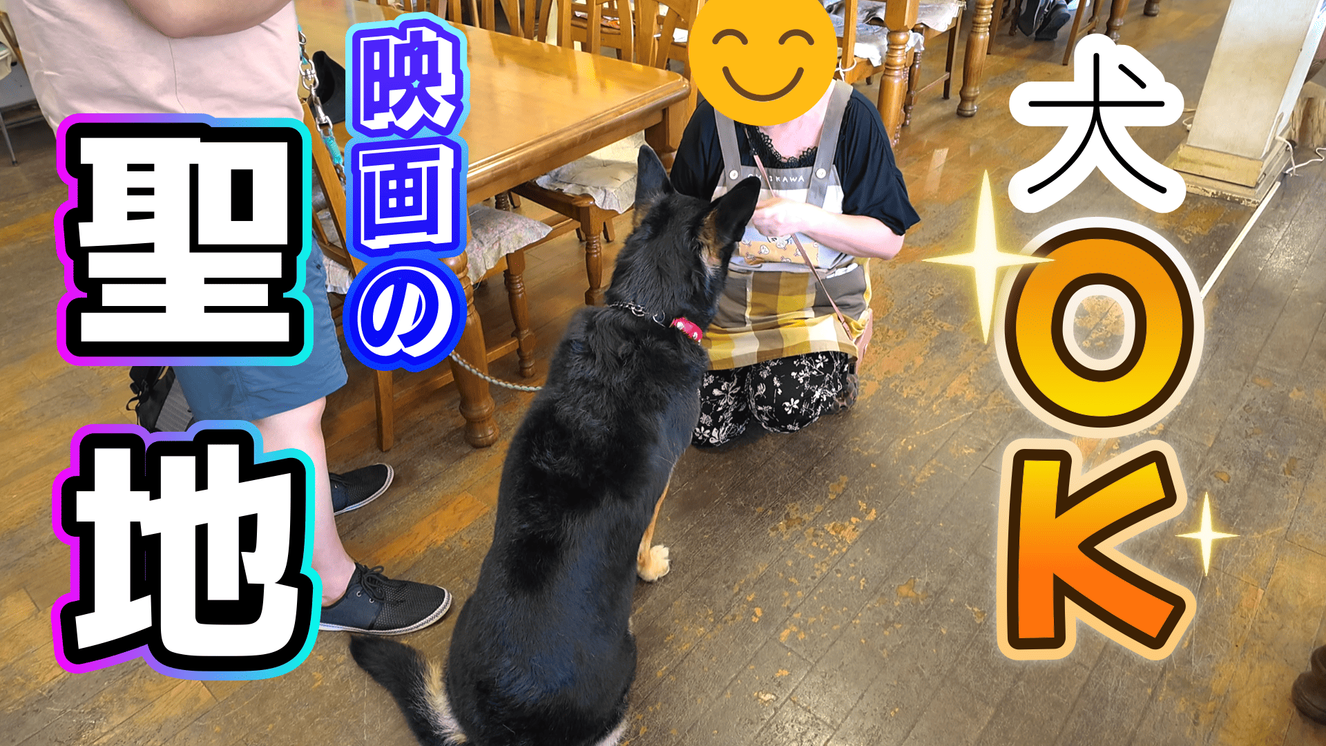 犬 Amazon | ZENY 犬小屋 いぬごや 屋外 中型犬 ドッグハウス 犬舎
