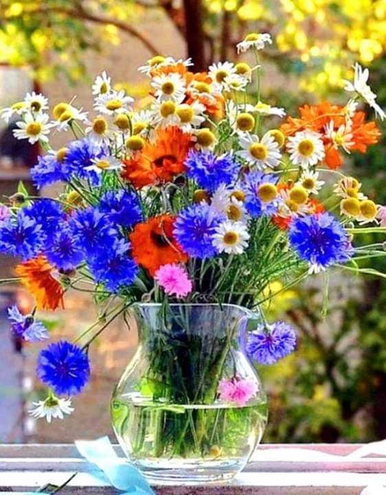 Un peu de couleurs !!
#NatureBeauty