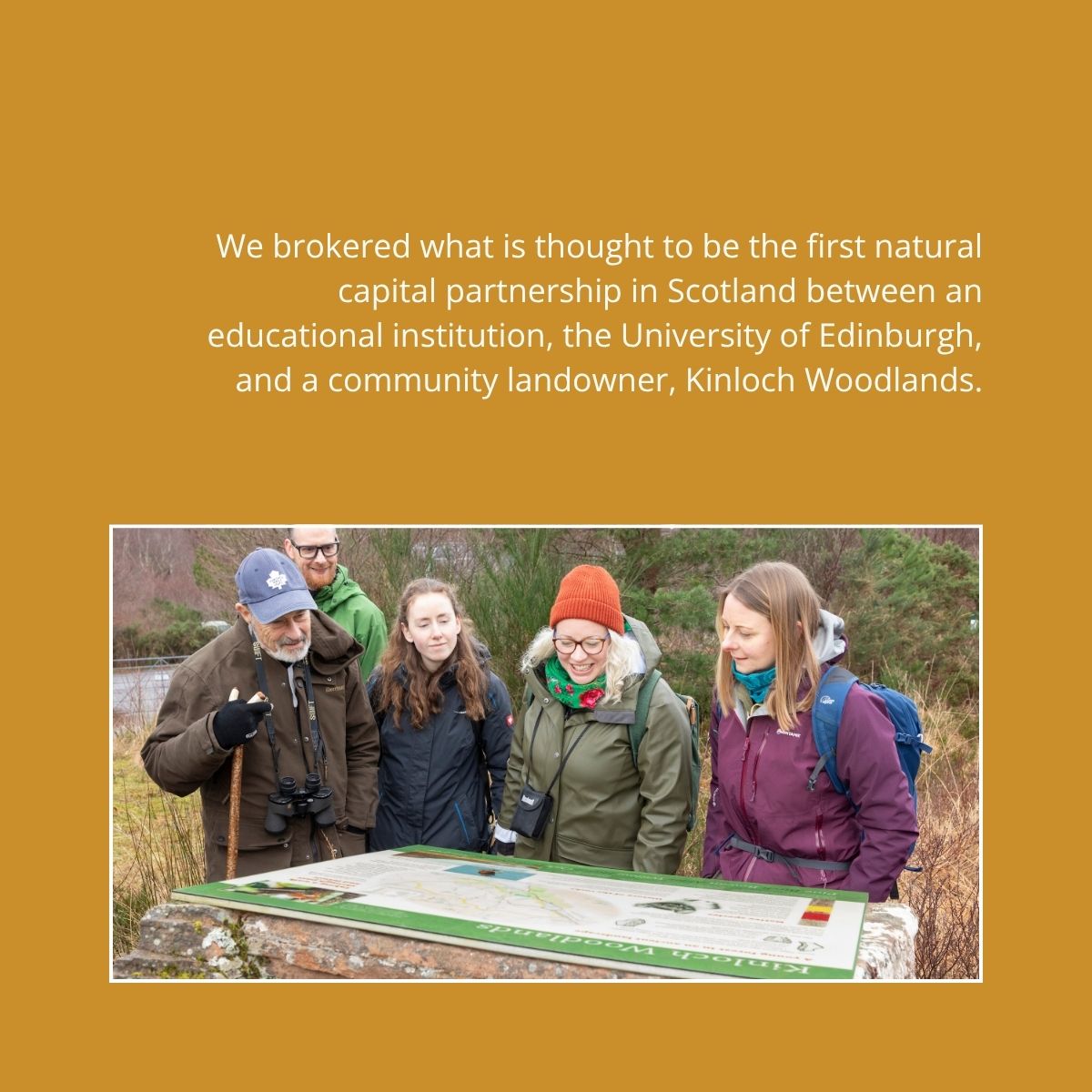 Rewilding isn’t something we do alone – it thrives on collaboration, shared vision and collective action.

In 2024, we worked alongside land partners, businesses, donors and agencies to scale impact, unlock investment and break new ground in natural capital approaches.