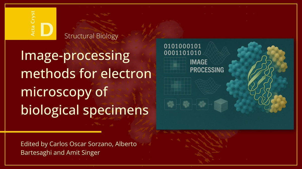 IUCr (@iucr) on Twitter photo Cryo-electron microscopy is now essential in structural biology—transforming how we determine macromolecular structures at near-atomic resolution.
Read more in the virtual Issue: journals.iucr.org/special_issues…
<a href="/ActaCrystD/">Structural Biology</a> Cryo-electron microscopy is now essential in structural biology—transforming how we determine macromolecular structures at near-atomic resolution.
Read more in the virtual Issue: journals.iucr.org/special_issues…
<a href="/ActaCrystD/">Structural Biology</a>