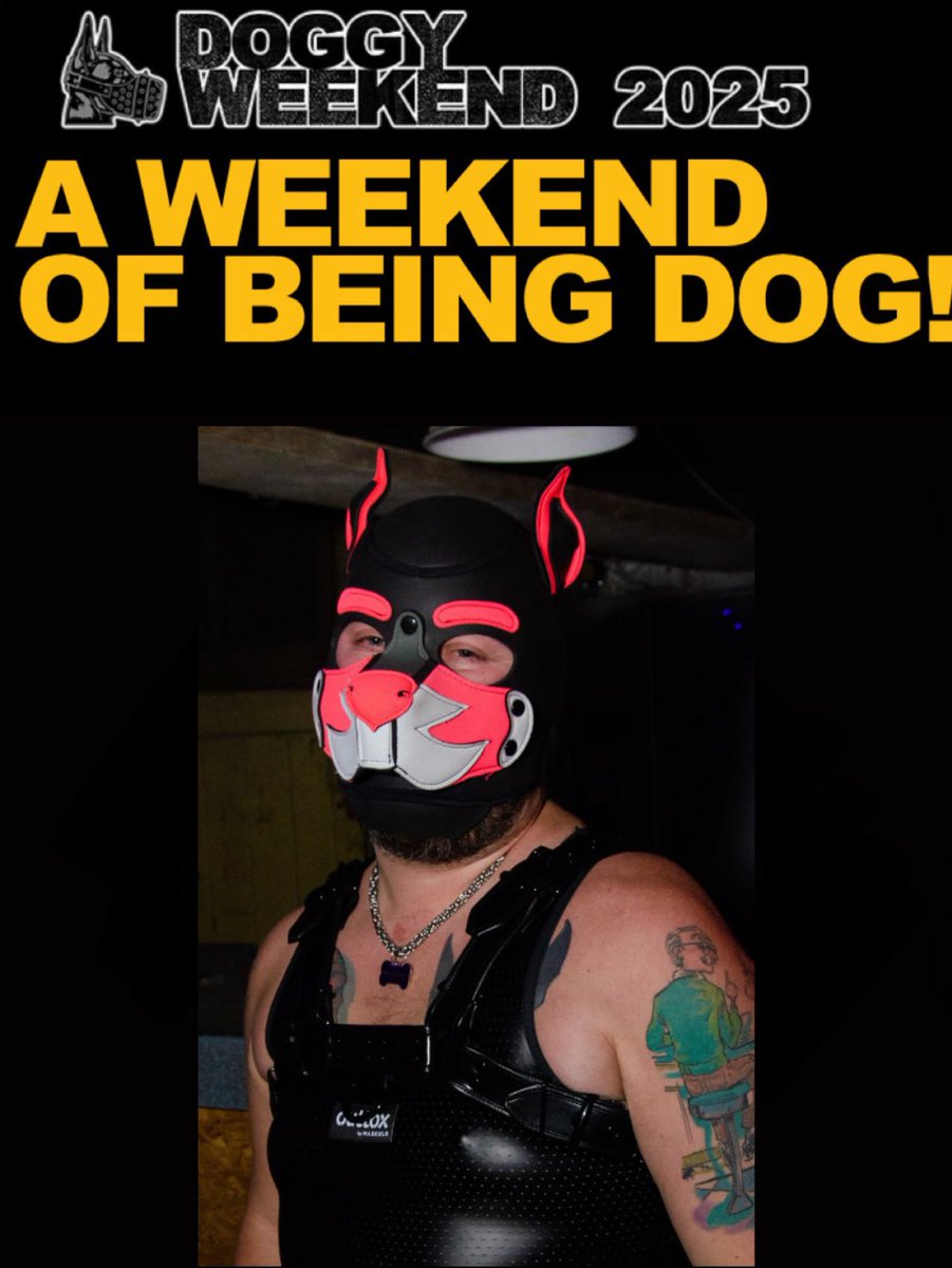 Now that we have tickets : Who will we be seeing at <a href="/doggyweekend/">DoggyWeekendUK</a> 2025??