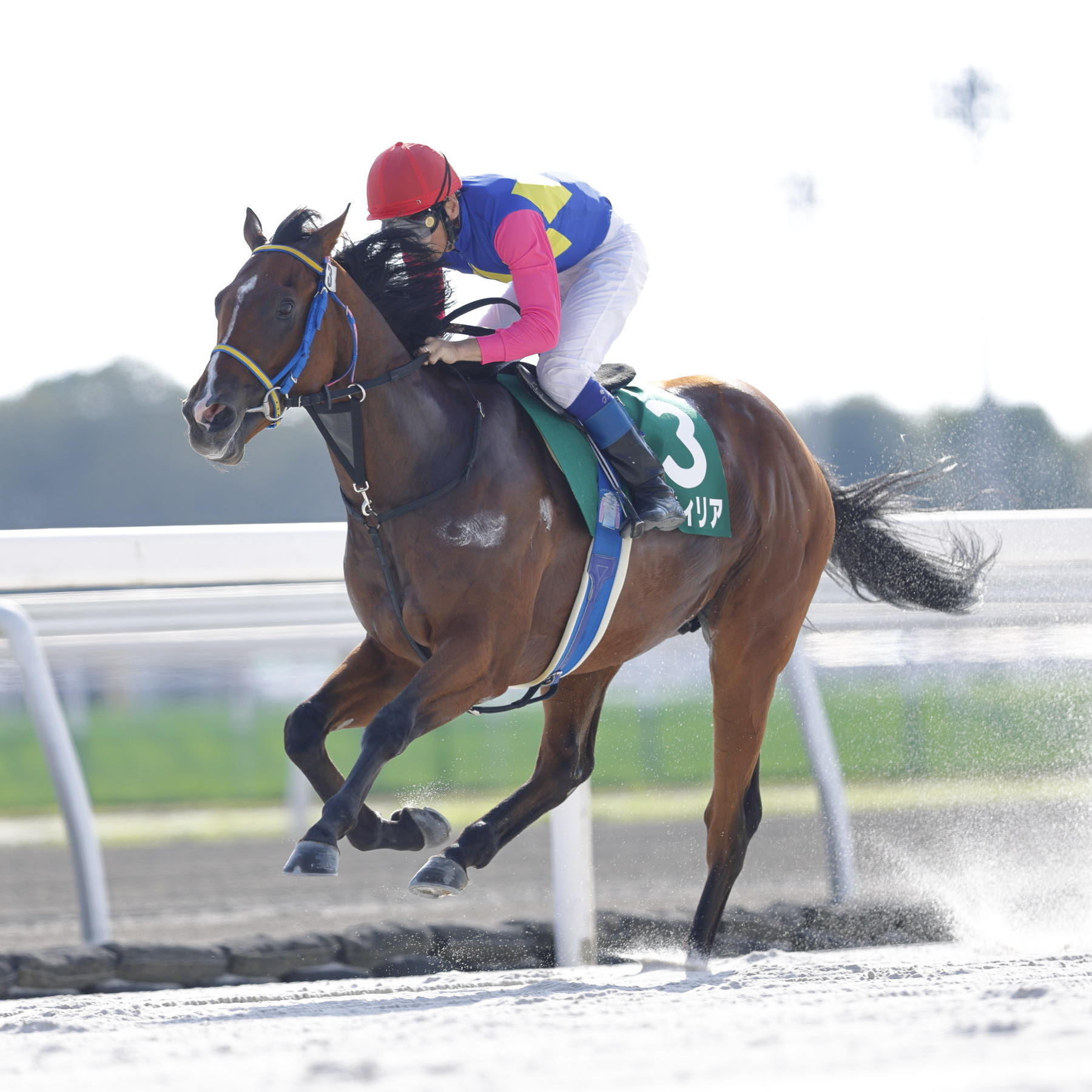 藤田西洋　馬と馬車の風景 センジェルメン ドゥ プレ教会 セレクトセール2025・初日】藤田晋オーナーが今年も〝爆買い