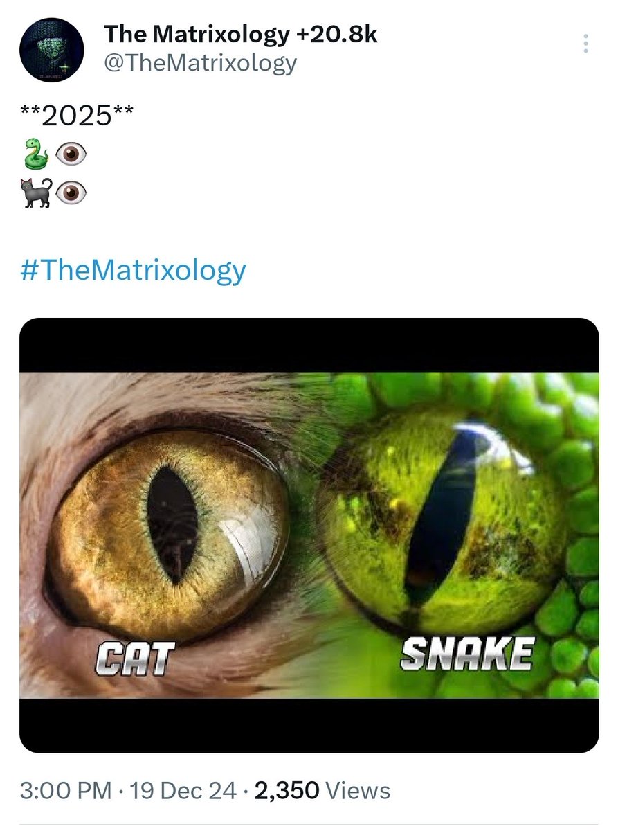 The Matrixology +21.1k tweet media