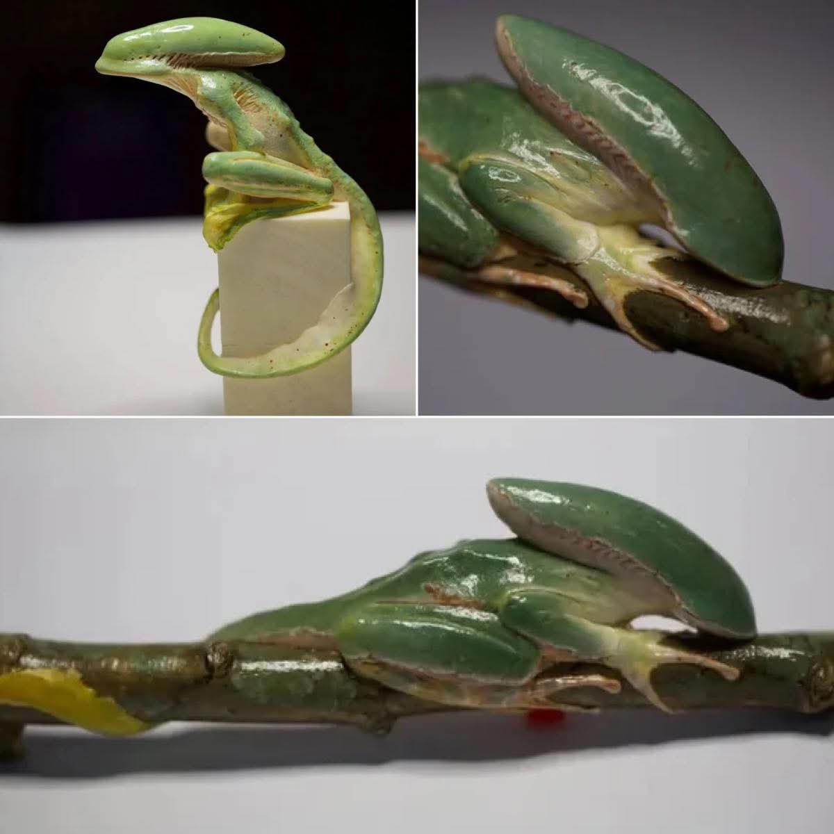 Xenomorph frogs created by Li Changchun.